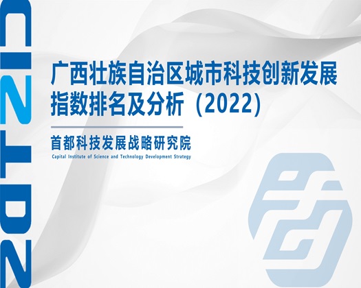 大鸡巴操黑逼视频【成果发布】广西壮族自治区城市科技创新发展指数排名及分析（2022）